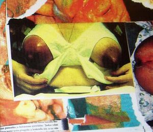 TeRRoR - CD